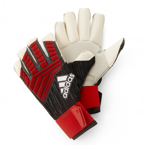 Gants Gardien Predator 2018-19