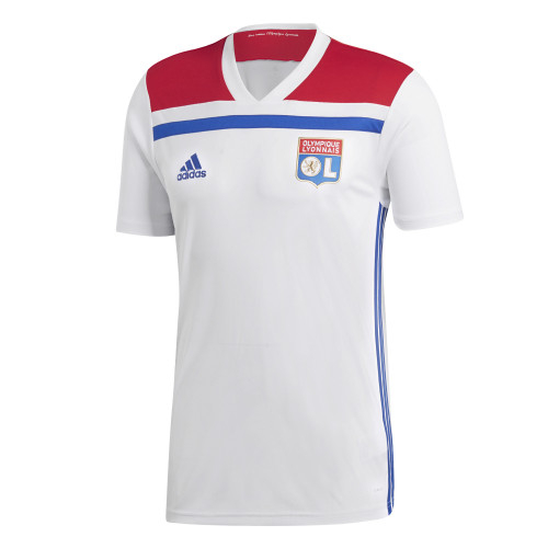Maillot domicile Adulte2018/2019 Sans Sponsor