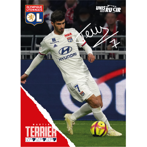 Poster Terrier 19/20 - Taille - Unique