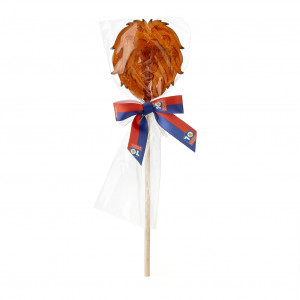 Candy lion lollipop
