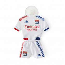 Olympique Lyonnais Fanion Identity