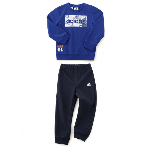 Ensemble Linear Fit Garçon