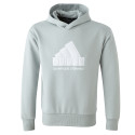 Sweat à capuche FI BOS Gris Homme