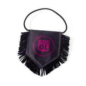 Olympique Lyonnais Féminin Pennant