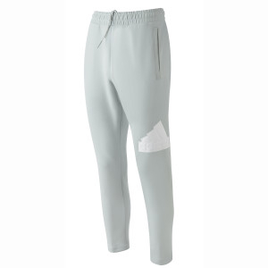 Pantalon FI BOS Gris Homme - Olympique Lyonnais