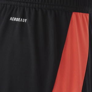 24-25 Men's Goalkeeper Black Shorts - Olympique Lyonnais