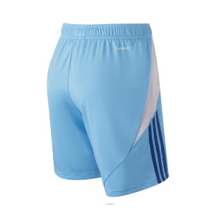 24-25 Men's Goalkeeper Blue Shorts - Olympique Lyonnais