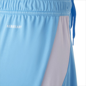 24-25 Men's Goalkeeper Blue Shorts - Olympique Lyonnais