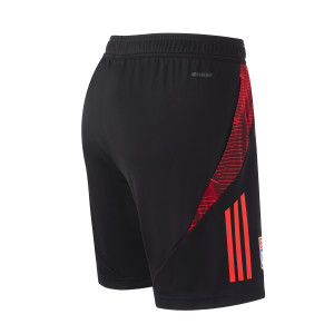 24-25 Men's Staff Training Shorts - Olympique Lyonnais