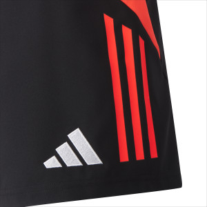 24-25 Men's Staff Presentation Shorts - Olympique Lyonnais