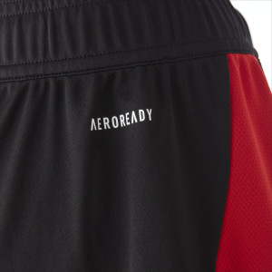 24-25 Women's Away Shorts - Olympique Lyonnais