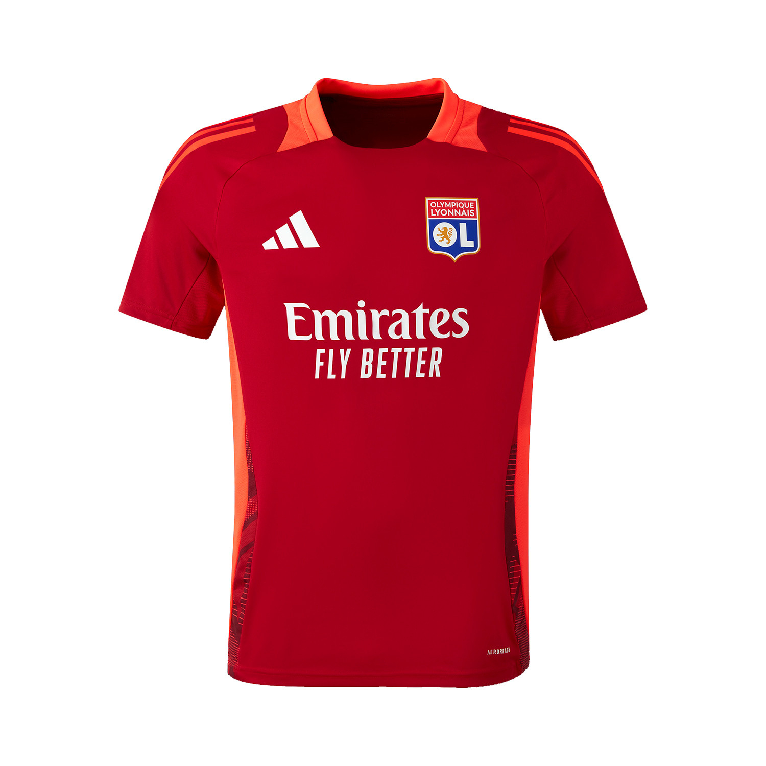 olympique lyonnais training kit