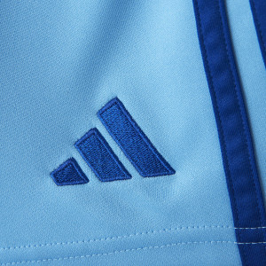 24-25 Junior's Goalkeeper Blue Shorts - Olympique Lyonnais