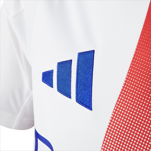 Maillot Domicile Collector Homme 24-25 - Olympique Lyonnais