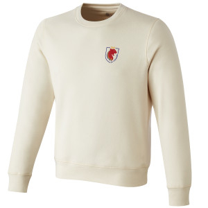 Sweat OL Lyonnes Essentials Beige Mixte - Olympique Lyonnais