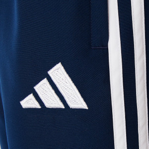 Men’s UBP AWAY Pants 25–26 – Olympique Lyonnais