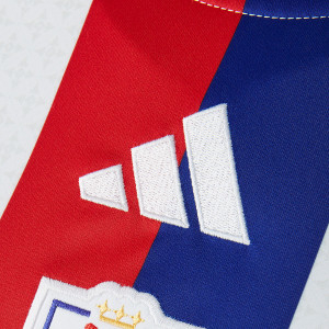 Maillot Domicile OL Lyonnes 25-26 Coupe Femme - Olympique Lyonnais