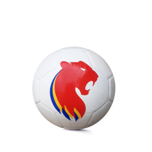 Ballon T1 - Gamme ON - OL Lyonnes