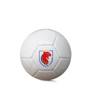 OL Lyonnes Mini Ball Size 1 - Olympique Lyonnais