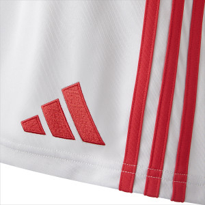Men’s Third Shorts 25–26 - Olympique Lyonnais
