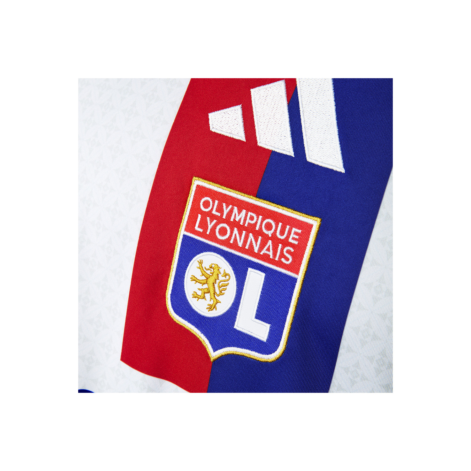 Insigne De Collection : Badge VELO CLUB LYONNAIS 1890 - France, Années 40