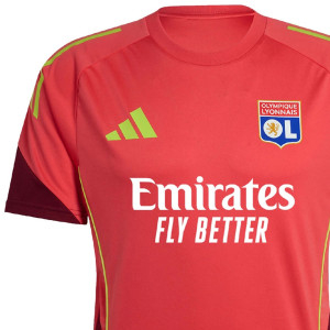 Men’s Goalkeeper Training Jersey 25–26 – Olympique Lyonnais