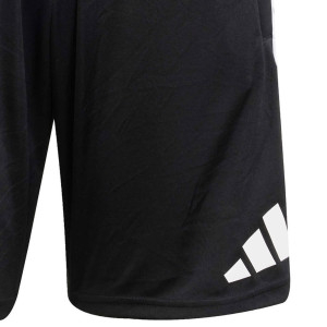 Short de présentation Staff Homme 25-26 - Olympique Lyonnais