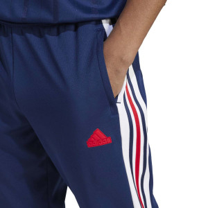 Men's Navy Blue Olympique Lyonnais NATION Pants