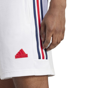 Short Olympique Lyonnais NATION Blanc Homme