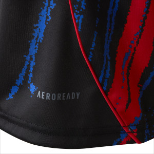 Europe OL Lyonnes 25-26 Women's Cup Jersey - Olympique Lyonnais