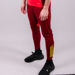 Pantalon d'entraînement Gardien Homme 25-26 - Olympique Lyonnais