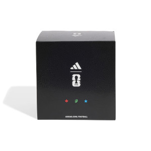 FIFA World Cup Ball BOX - Olympique Lyonnais