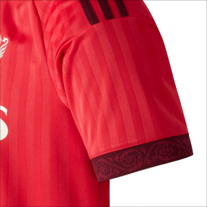 Men's Away Jersey 26-27 - Olympique Lyonnais