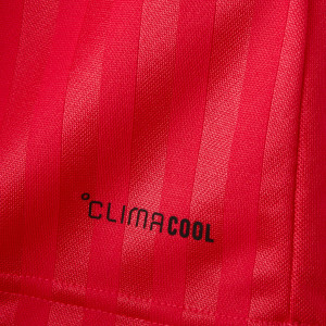 OL Lyonnes Junior Away Jersey 26-27 - Olympique Lyonnais