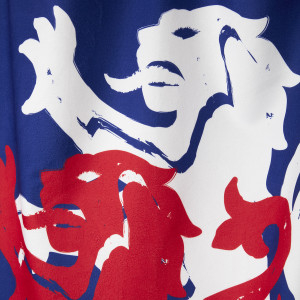 OL Lion Towel - Olympique Lyonnais