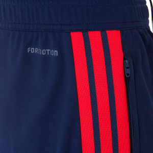 Men's Player Training Trousers Size 26-27 - Olympique Lyonnais
