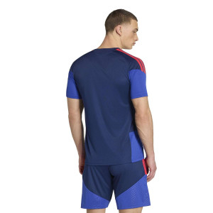 Maillot d'entraînement Joueur Homme 26-27 - Olympique Lyonnais
