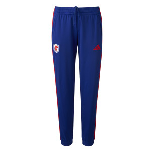 OL Lyonnes Women's DNA Trousers 26-27