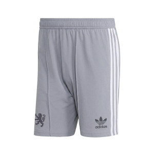 Junior Grey Goalkeeper Shorts 26-27