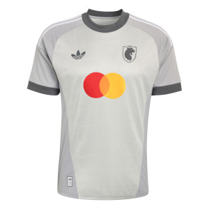 Maillot Gardienne OL Lyonnes Gris Mixte 26-27
