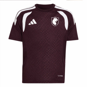 Maillot d'entraînement Junior OL Lyonnes 26-27
