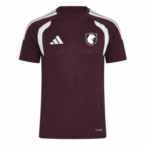 Maillot d'entraînement Femme OL Lyonnes 26-27