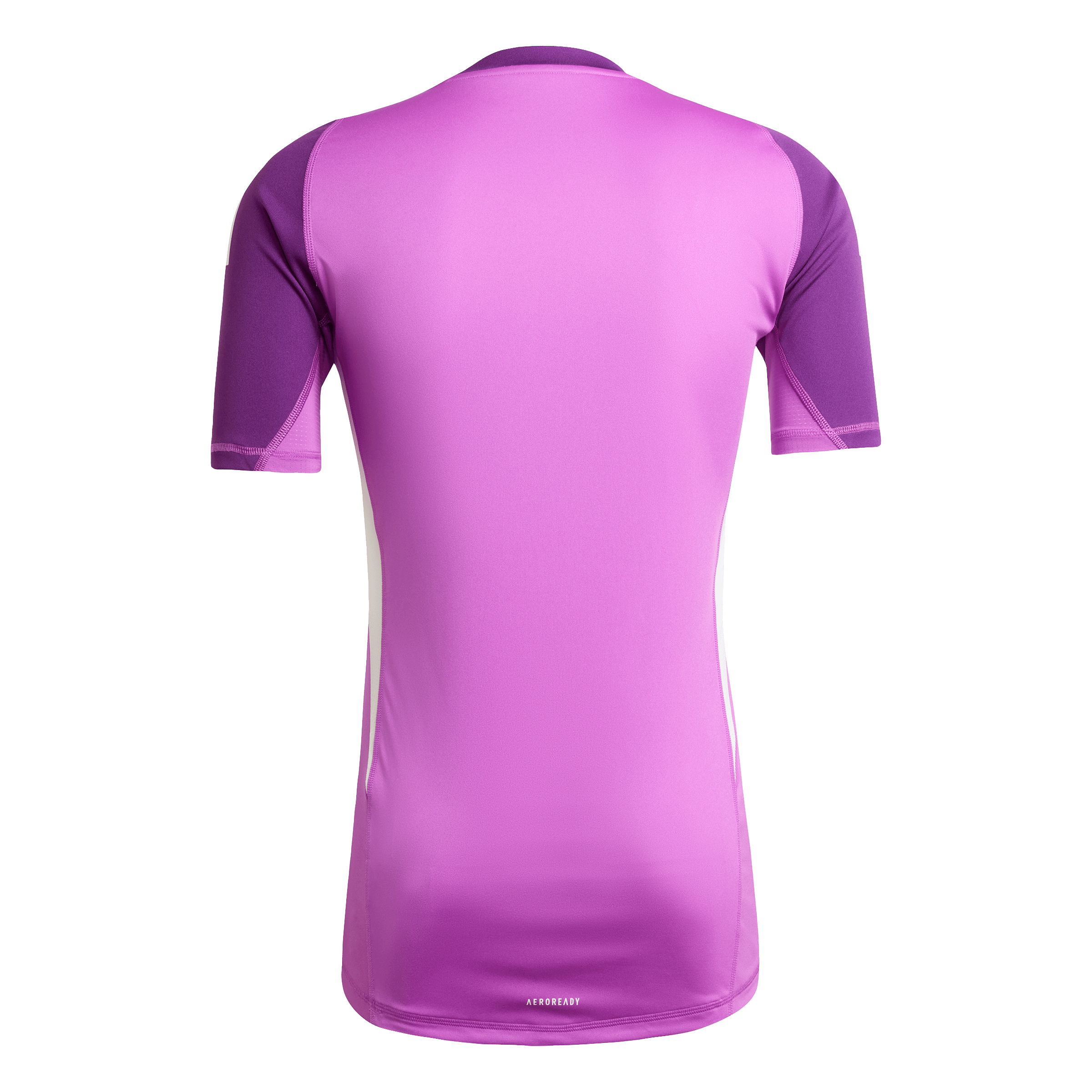 Men's Purple OL Lyonnes Goalkeeper Jersey 25-26