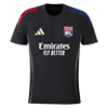 Jerseys / T-shirts
