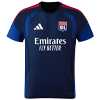 Training Player